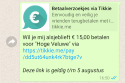 Voorbeeld van een Tikkie